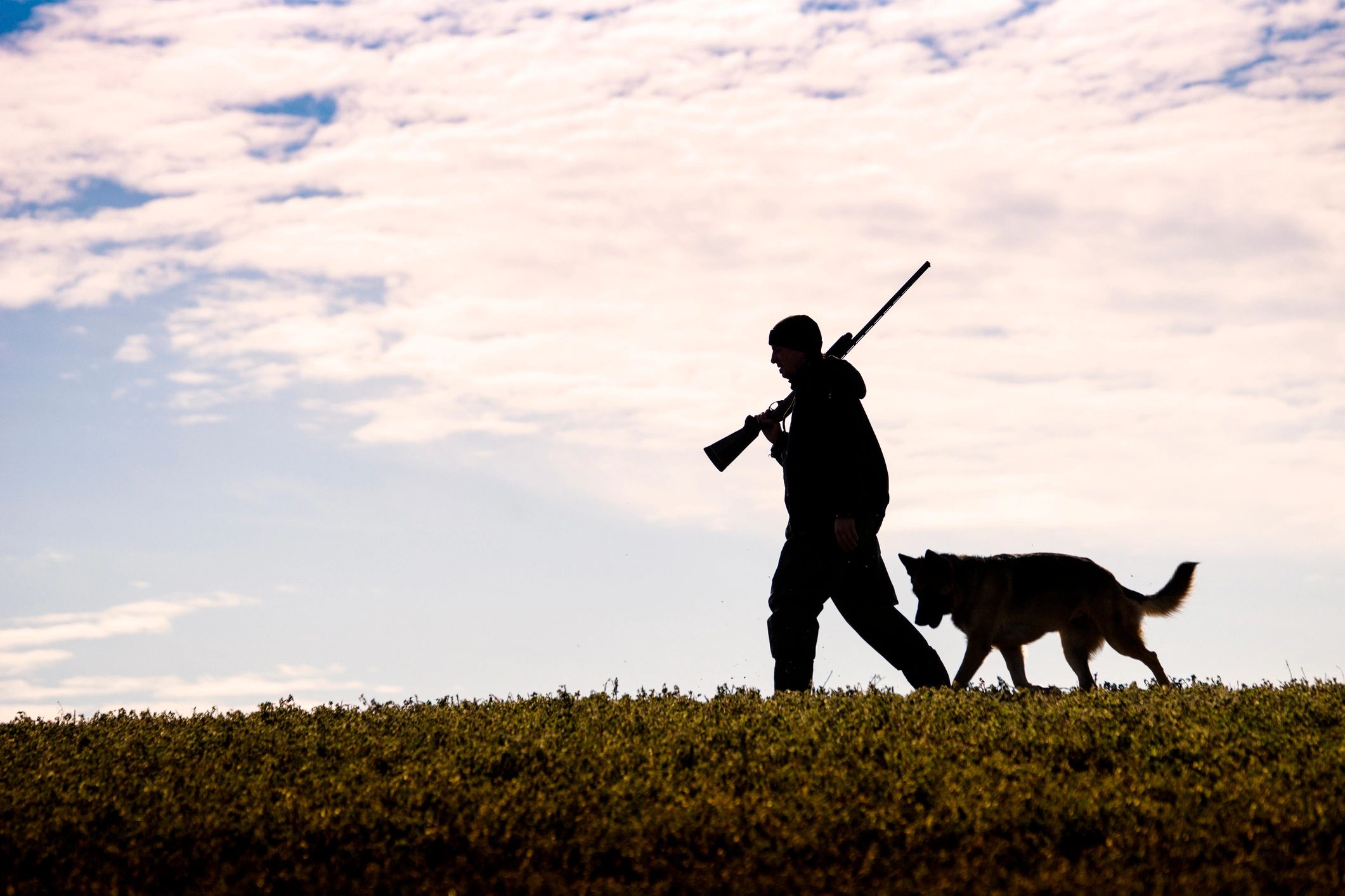Hunter walking across a field with a dog